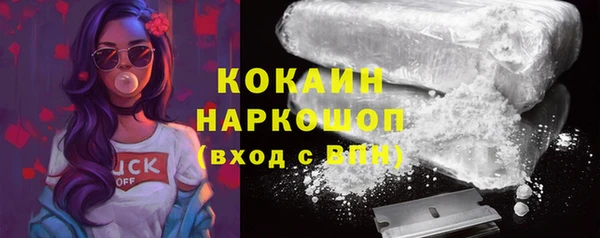 винт Краснослободск