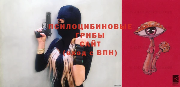 ALPHA PVP Куйбышев