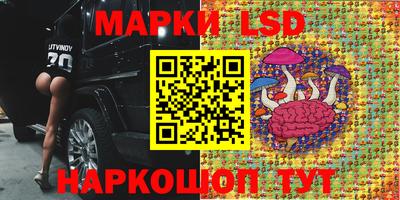 шишки Жуковский