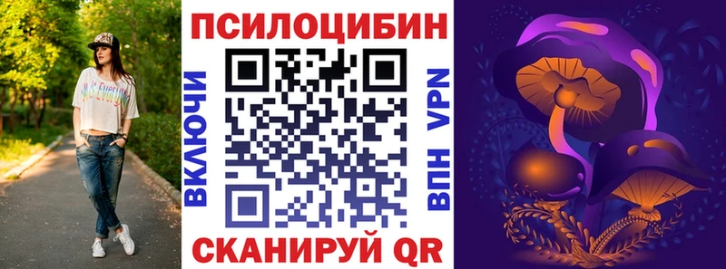 Псилоцибиновые грибы Psilocybe  Спасск-Дальний 