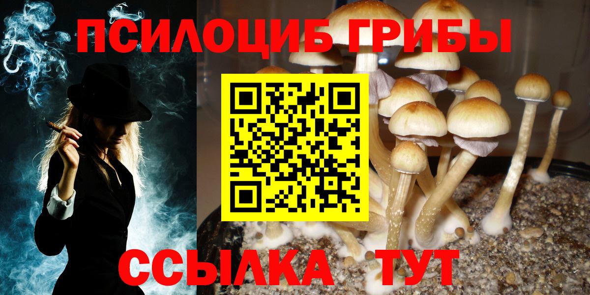 Псилоцибиновые грибы мухоморы Спасск-Дальний