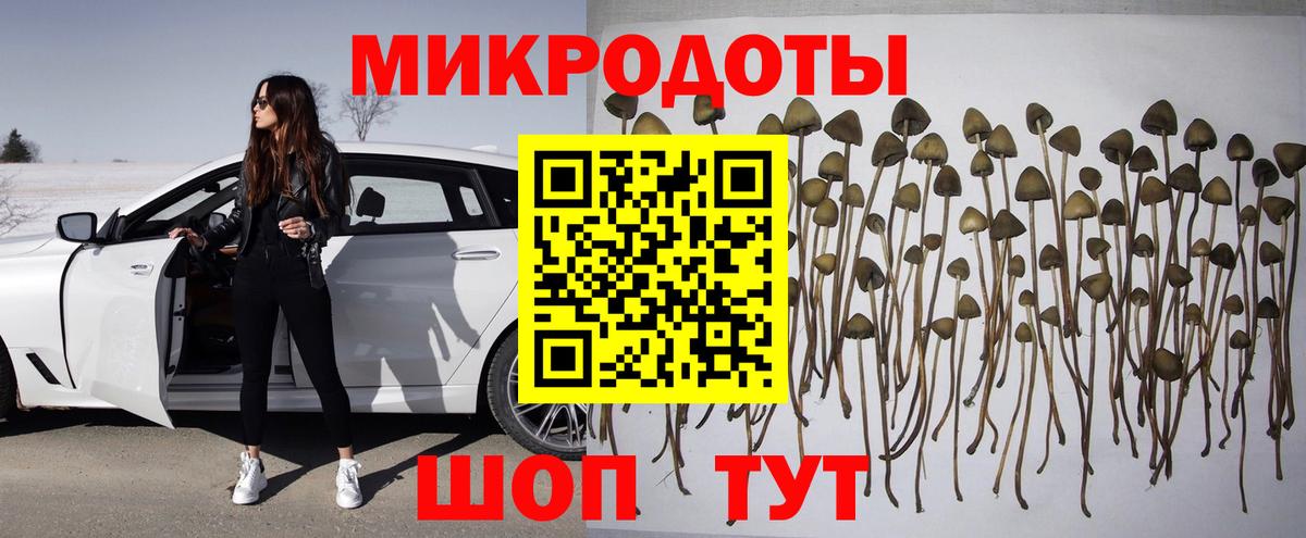 Псилоцибиновые грибы MAGIC MUSHROOMS  Псилоцибиновые грибы Cubensis  Спасск-Дальний 