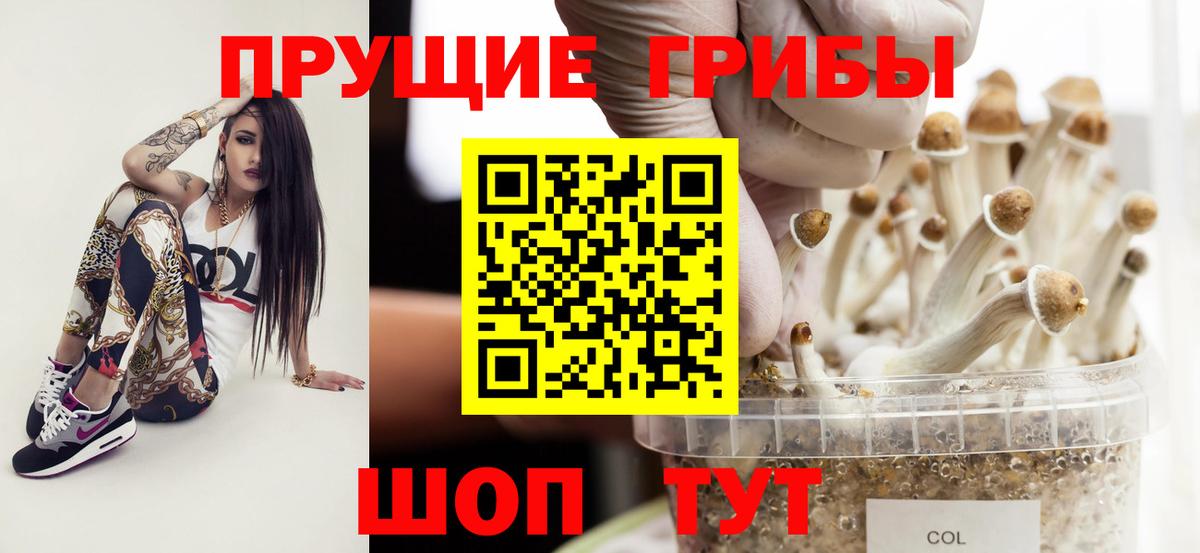 Спасск-Дальний  Псилоцибиновые грибы Psilocybe  где купить наркоту  Вход с VPN 